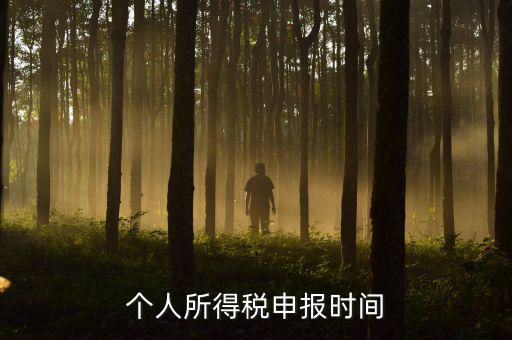 代扣代繳的個稅什么時候申報，個人所得稅申報時間