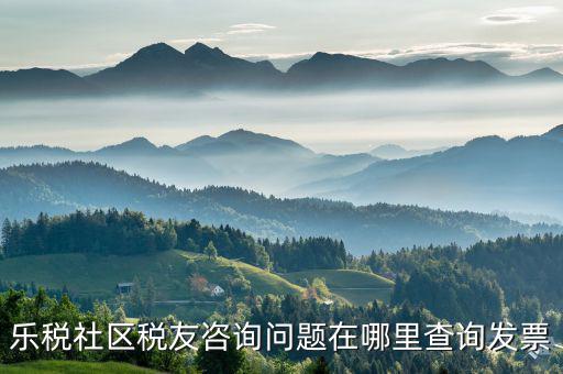 稅友服務(wù)器地址是什么，樂(lè)稅社區(qū)稅友咨詢問(wèn)題在哪里查詢發(fā)票