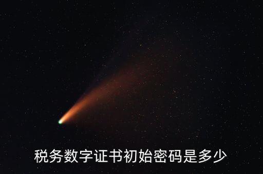 稅務(wù)數(shù)字證書(shū)初始密碼是多少