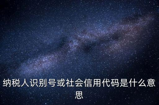 納稅人識別號或社會(huì)信用代碼是什么意思