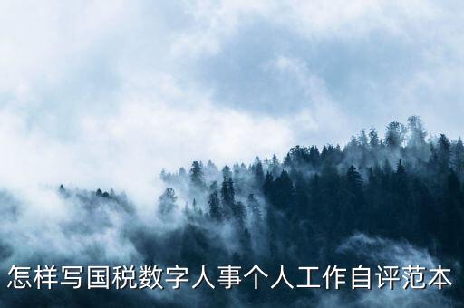 國稅數(shù)字人事是什么，專業(yè)的除了可以考會(huì)計(jì)證和證券從業(yè)資格證以為還可以考什么證