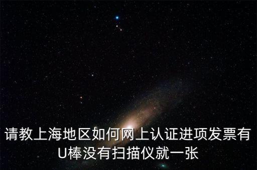 上海 u棒派什么用，請(qǐng)教上海地區(qū)如何網(wǎng)上認(rèn)證進(jìn)項(xiàng)發(fā)票有U棒沒(méi)有掃描儀就一張