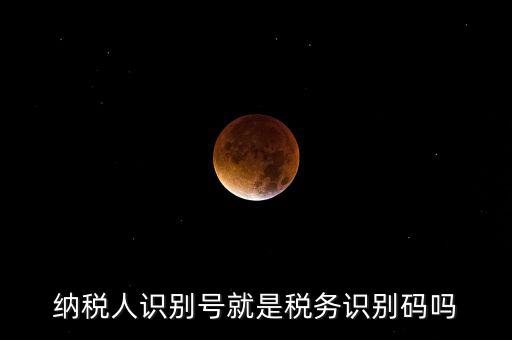 稅務(wù)標(biāo)識(shí)符是什么意思，納稅人識(shí)別碼是什么