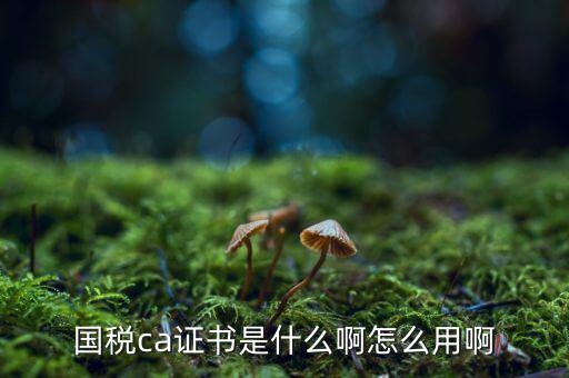 國(guó)稅ca證書(shū)是什么啊怎么用啊