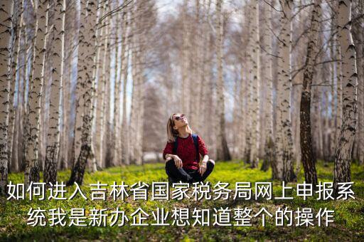 如何進(jìn)入吉林省國家稅務(wù)局網(wǎng)上申報系統(tǒng)我是新辦企業(yè)想知道整個的操作