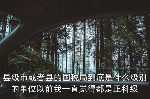 縣國(guó)稅局辦稅服務(wù)廳主任是什么級(jí)別，縣地稅局辦公室主任是什么行政級(jí)別