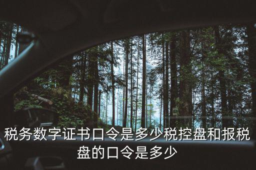 國稅證書口令是什么，我想問下國家稅務(wù)網(wǎng)上申報點擊安全登錄時出現(xiàn)的用戶口令是什么