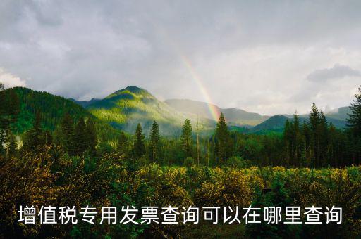 在什么網(wǎng)站查發(fā)票，發(fā)票查驗(yàn)在哪里查