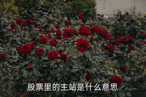 預(yù)控主站票是什么，股票里的主站是什么意思