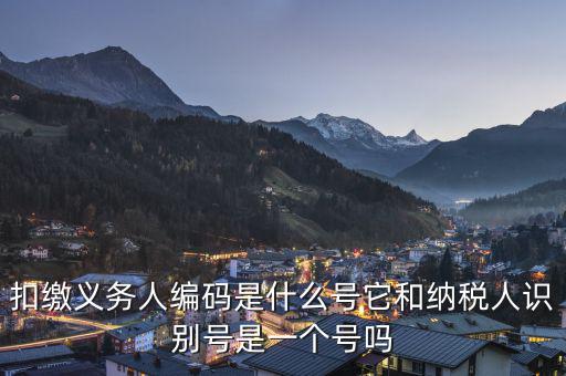 易稅門(mén)戶(hù)扣繳義務(wù)人編碼是什么，易稅門(mén)戶(hù)中扣繳義務(wù)人編碼指什么