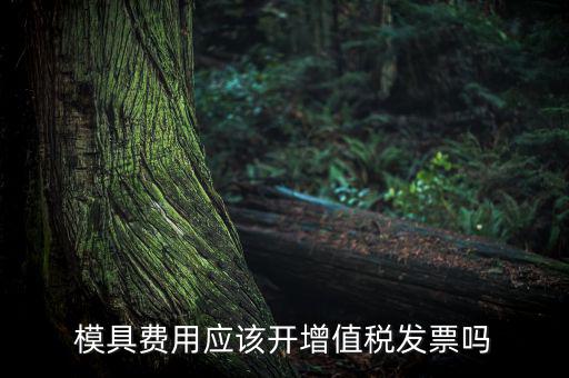 模具設(shè)計(jì)開發(fā)費(fèi)開什么發(fā)票，模具開發(fā)及制造費(fèi)一般開什么發(fā)票明細(xì)