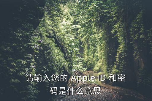 查詢個稅 密碼是輸入什么，請輸入您的 Apple ID 和密碼是什么意思