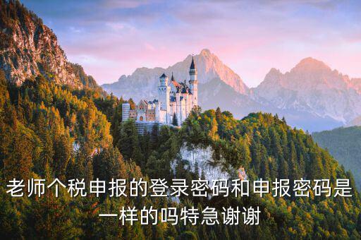 安徽個(gè)稅申報(bào)密碼是什么，老師個(gè)稅申報(bào)的登錄密碼和申報(bào)密碼是一樣的嗎特急謝謝