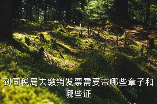 繳銷出口商品統(tǒng)一發(fā)票要蓋什么章，到國(guó)稅局去繳銷發(fā)票需要帶哪些章子和哪些證