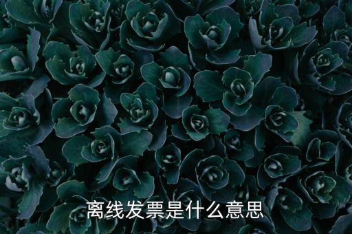 離線開(kāi)票什么意思，離線發(fā)票是什么意思