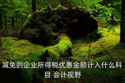 非營(yíng)利機(jī)構(gòu)的減免稅額做什么科目，減免的企業(yè)所得稅優(yōu)惠金額計(jì)入什么科目 會(huì)計(jì)視野