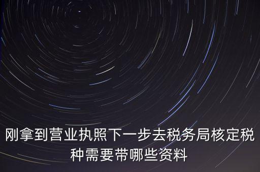 湖北國(guó)稅增加稅種需要帶什么資料，企業(yè)報(bào)稅種需要帶什么資料