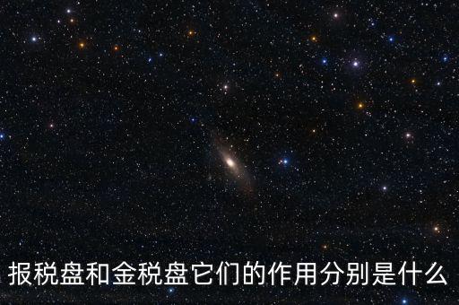 報稅盤做什么用的，報稅盤和金稅盤它們的作用分別是什么