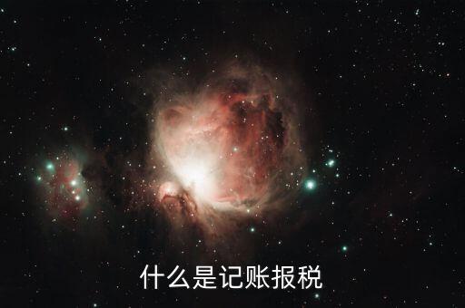報稅記錄是指什么，報稅是什么意思 報稅的含義