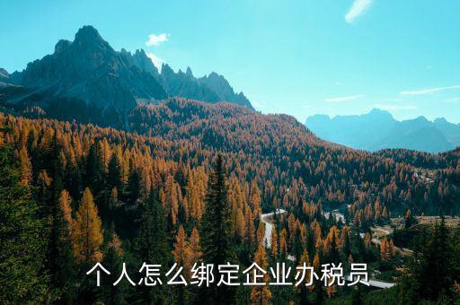 辦稅人員該綁定什么人，個人怎么綁定企業(yè)辦稅員