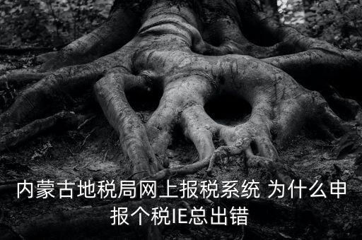 為什么內(nèi)蒙古國(guó)地稅網(wǎng)進(jìn)不去，windows7內(nèi)蒙古地稅報(bào)稅系統(tǒng)顯示無法顯示該網(wǎng)頁(yè)
