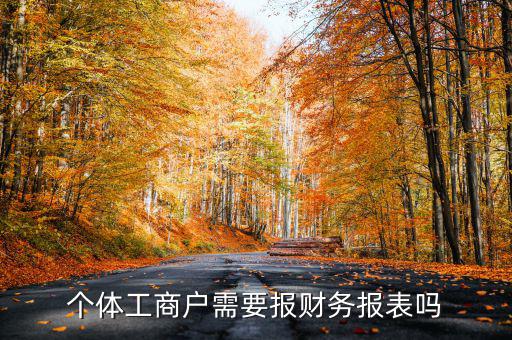 個體戶都需要申報什么表，個體工商戶需要報財務(wù)報表嗎