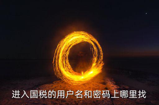 國(guó)稅的用戶(hù)名是什么，稅務(wù)用戶(hù)名是什么啊