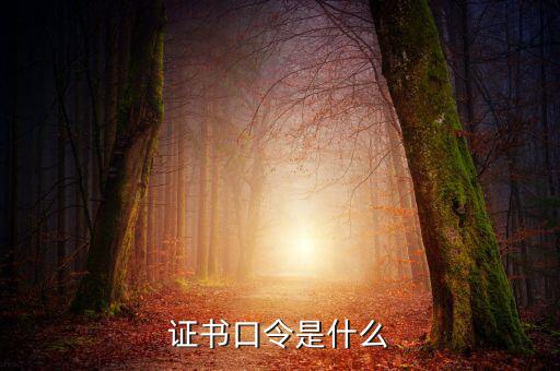 新稅盤證書口令是什么意思，金稅盤口令有什么用
