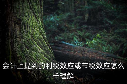 節(jié)稅效應(yīng)是節(jié)的什么稅，什么是節(jié)稅額