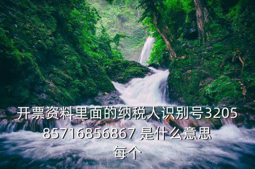 納稅人稅務(wù)識(shí)別號(hào)是什么意思，納稅人識(shí)別碼是什么