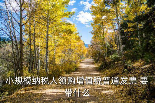 領(lǐng)增值稅普通發(fā)票需要什么資料，小規(guī)模納稅人領(lǐng)購增值稅普通發(fā)票 要帶什么