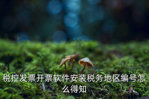 發(fā)票地區(qū)編號(hào)填什么，稅控發(fā)票開票軟件安裝稅務(wù)地區(qū)編號(hào)怎么得知