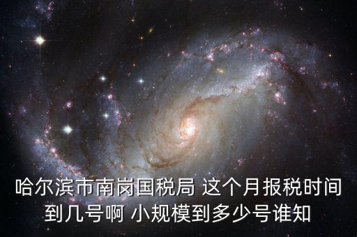 哈爾濱網上報稅什么時間，哈爾濱網絡公司報稅流程