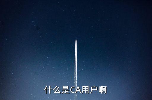 稅務(wù)總局ca系統(tǒng)是什么意思，Ca是什么