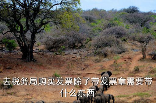 購(gòu)發(fā)票需要什么資料，個(gè)人購(gòu)物開增值稅普通發(fā)票需要什么資料