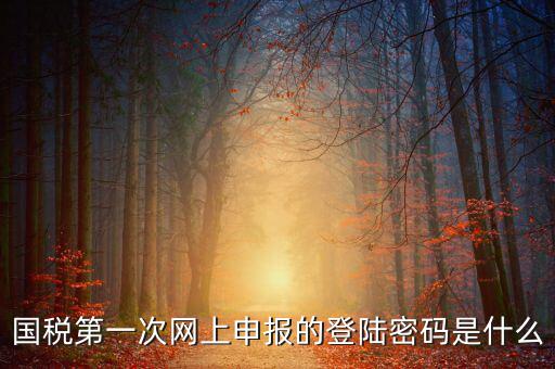 網(wǎng)上稅稅通密碼是什么，國(guó)稅第一次網(wǎng)上申報(bào)的登陸密碼是什么
