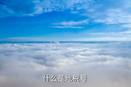 稅務(wù)賬號是什么，什么是地稅號