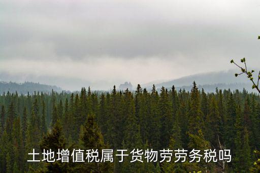 土地增值稅屬于什么稅種，土地增值稅是什么