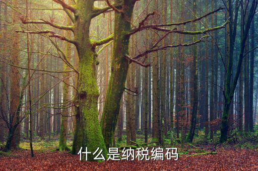 什么是納稅登記編碼，什么是納稅編碼
