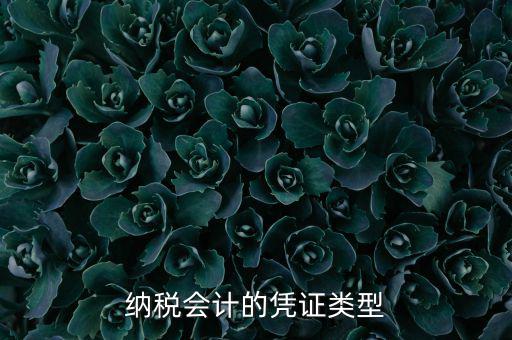 應(yīng)納稅憑證種類是什么，憑證種類999是什么
