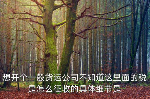 想開個一般貨運公司不知道這里面的稅是怎么征收的具體細節(jié)是
