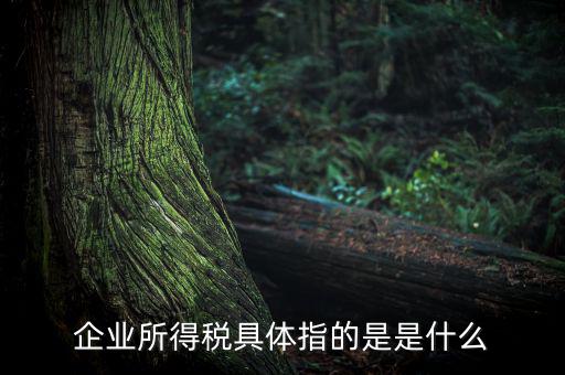 什么是企業(yè)所得，什么是企業(yè)所得稅