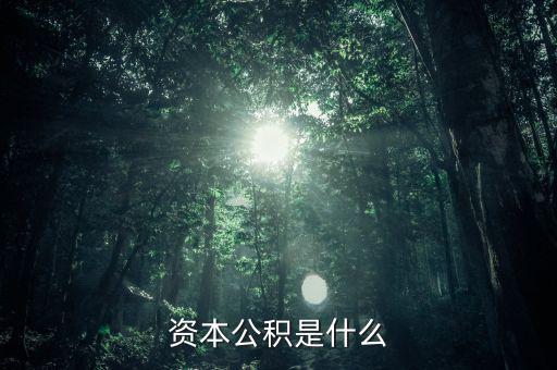 攜稅寶是什么，資本公積是什么