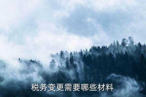 變更辦稅員要帶什么，財務(wù)負(fù)責(zé)人和辦稅員的變更需要辦理哪些手續(xù)