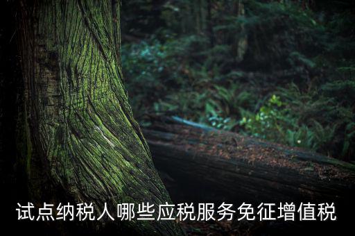 家政服務(wù)免增值稅什么業(yè)務(wù)免，家政服務(wù)企業(yè)的什么收入可以免征增值稅