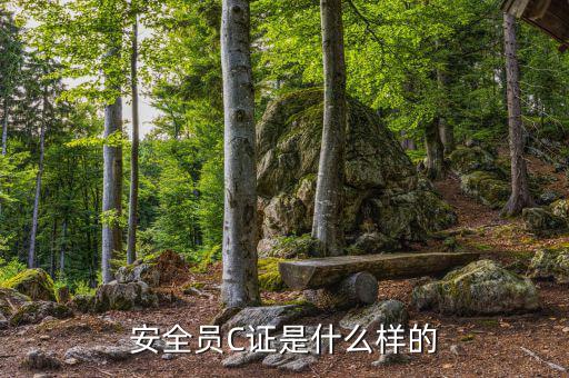 數(shù)字人事是什么樣的，數(shù)字人事是什么