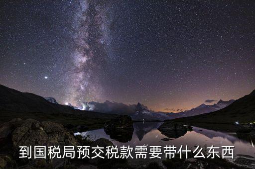 稅費(fèi)預(yù)繳需要什么，到國(guó)稅局預(yù)交稅款需要帶什么東西