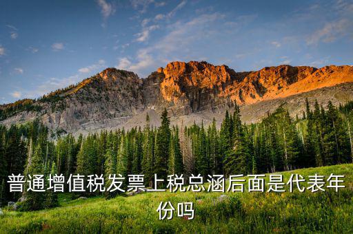 稅總涵2016代表什么意思，稅總財行便函201616號保險公司開具保險發(fā)票車船稅只在備注