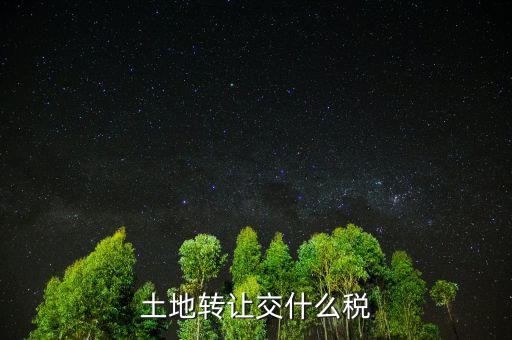 出讓土地交什么稅，土地出讓要交什么稅