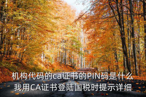 國稅ca證書登錄 密碼是什么，國稅第一次網(wǎng)上申報的登陸密碼是什么